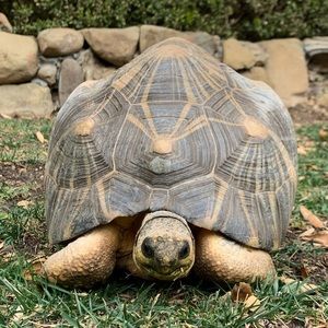 Meet your Posher, Malcolm